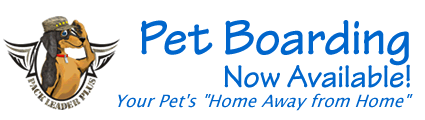 Pet Boarding