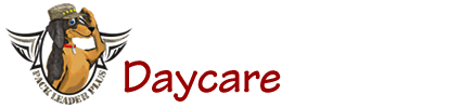 Daycard