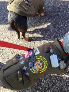 10931196_10202742620201254_7411878721418942199_n